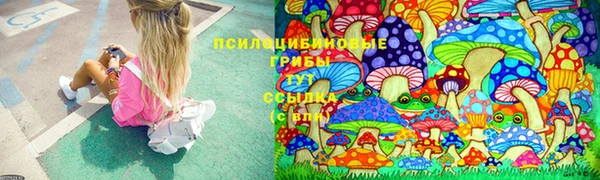 а пвп мука Алзамай